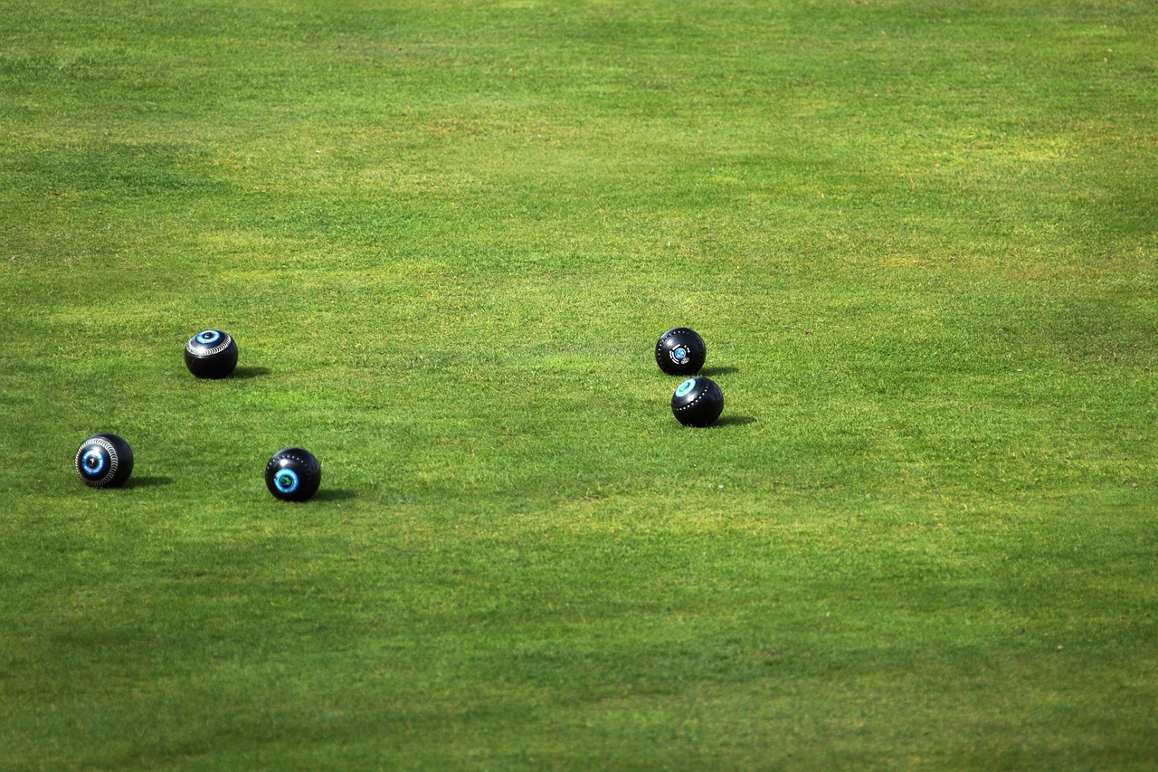 Black bowling balls on green grass